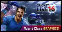 Cricket Live '16 Screen Shot 8