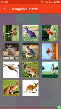 Kangaroo Puzzle Screen Shot 3