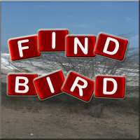 Find - Birds Name, Puzzle game