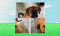 Baby Animals Puzzle Screen Shot 1