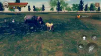 Lioness Survival Adventure 3D Screen Shot 2
