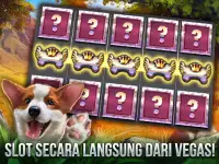 Casino Slots - mesin slot Screen Shot 3