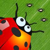 Ladybug Invasion 🐞