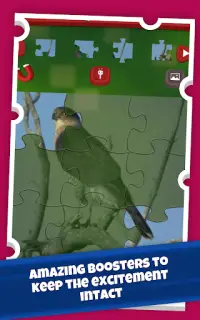 Birds Jigsaw Puzzle Game: Amazing Facts and Trivia Screen Shot 12