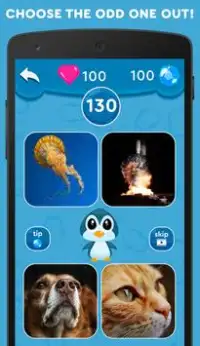 4 pics. Odd one out: Penguin Quiz Screen Shot 0