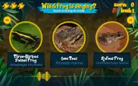 Singing Frogs Screen Shot 13