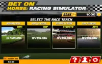 Bet on Horse: Racing Simulator Screen Shot 4