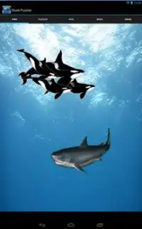 Shark Puzzles Screen Shot 0