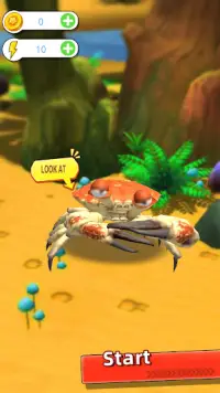 King Of Crab Screen Shot 2