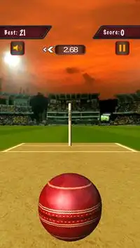 Flick Cricket 3D T20 World Cup Screen Shot 4