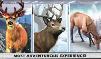 Deer Hunting 2017 Big Game Screen Shot 11
