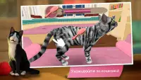 CatHotel - Мой приют для кошек Screen Shot 5