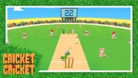 Cricket Cricket Screen Shot 1