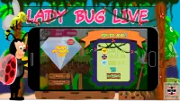 Lady Bug live Screen Shot 5