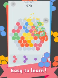 Hex Puzzle - Super fun Screen Shot 2