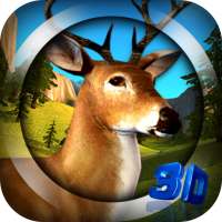 3d Wild Animal Hunting Jungle Shooter
