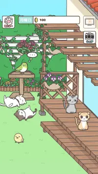 飼い猫ぐらし -かわいい動物育成ゲーム Screen Shot 0