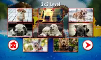 Dogs Puzzles Screen Shot 3