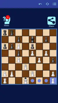 체스 Screen Shot 0
