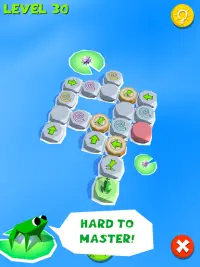 Frog Puzzle 🐸 Logic Puzzles & Brain Training Screen Shot 5