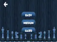 Let's Chess Screen Shot 7