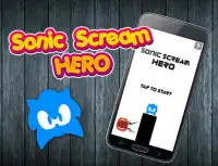 Scream Sonic Hero Screen Shot 0