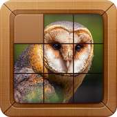 Birds - Sliding Block Scrambled Puzzles Images