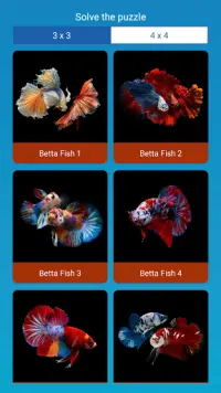 Betta Fish Puzzle Screen Shot 1