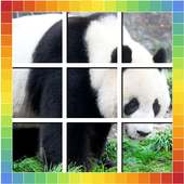 Kids Animal Jigsaw Puzzle