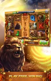 Cats Dogs Slots&Slot machines Screen Shot 5