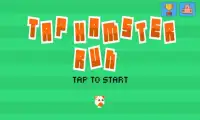 Tap Hamster Run Screen Shot 0