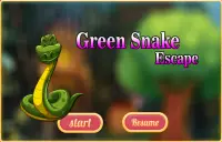 Green Snake Escape Screen Shot 0