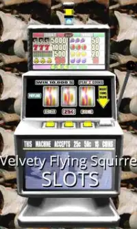 Velvety Flying Squirrel Slots Screen Shot 0