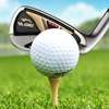 Mini Golf Champion 2019 - Hit Golf Pro
