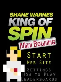 Shane Warne - KoS Mini Bowling Screen Shot 6