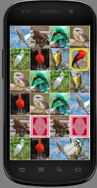 Игра на память. Птицы. 6  Screen Shot 7