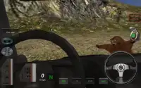 Sniper Hunting Animals 3D Screen Shot 20