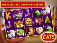 Cats Slots Casino Vegas Free Screen Shot 2