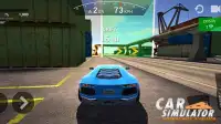 Car Simulator: Steering Wheel Possessor Screen Shot 1