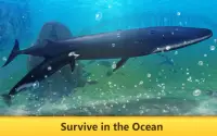 Okyanus Balina Simülatörü Screen Shot 1