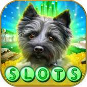 Toto's Journey of Slots