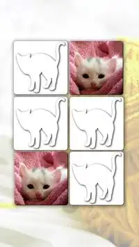 Kucing Teka-Teki Permainan Screen Shot 7