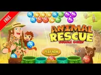 Penyelamatan  Binatang Lucu - Permainan Bubble Screen Shot 0