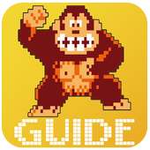 Guide For Donkey Kong