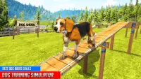 Hundetraining: Hundespiele 3D Screen Shot 2