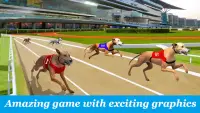 Dog Run - Pet Greyhound Dog Simulator Race 3D 2021 Screen Shot 5