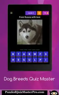 Dog Breeds Quiz Master Screen Shot 10