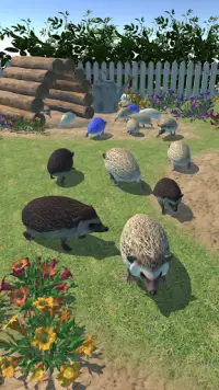 Hedgehog Friends Screen Shot 2