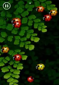 Crawl of the Ladybug Screen Shot 3