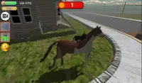 Simulador de gato piloto : monta en moto y caballo Screen Shot 3